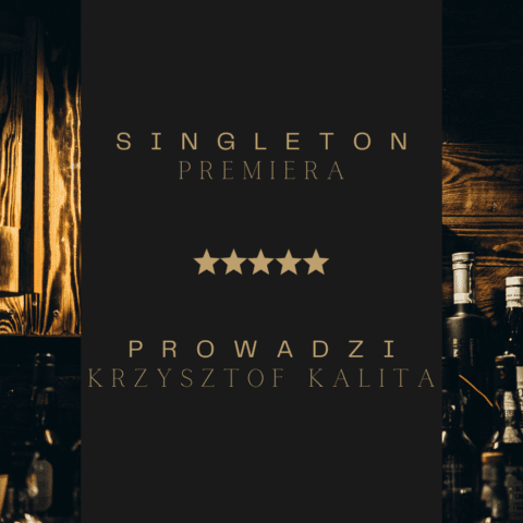 Singleton Experience